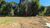 Terreno, 360 m² - Foto 4