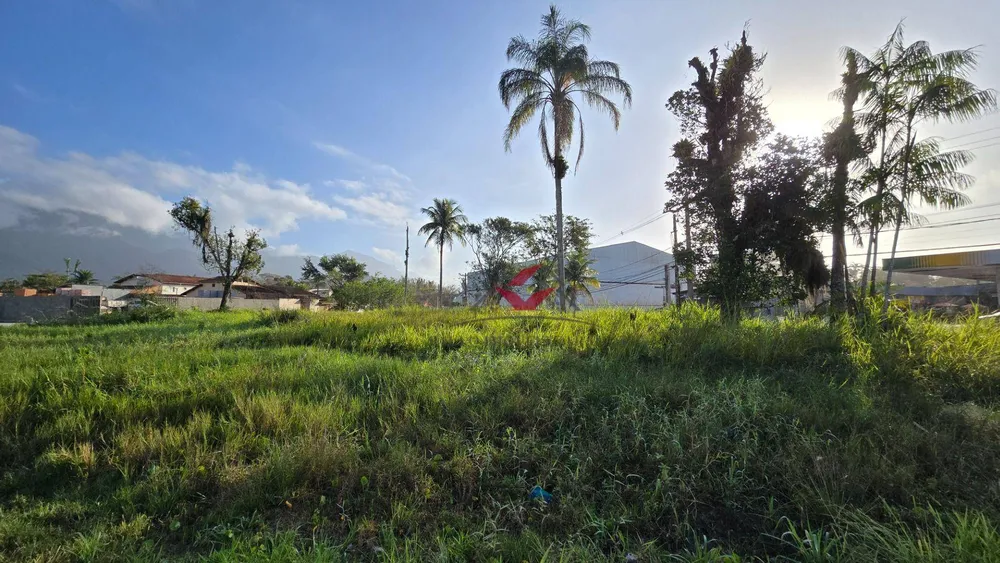 Terreno, 2357 m² - Foto 5