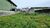 Terreno, 250 m² - Foto 4