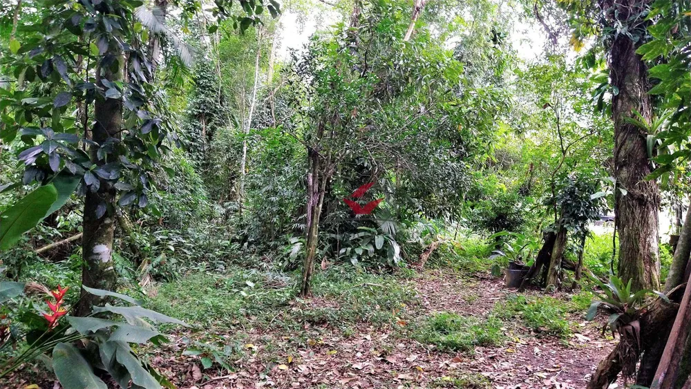 Loteamento e Condomínio, 384 m² - Foto 6