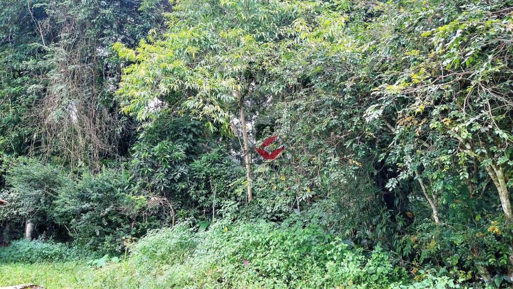 Loteamento e Condomínio, 384 m² - Foto 1