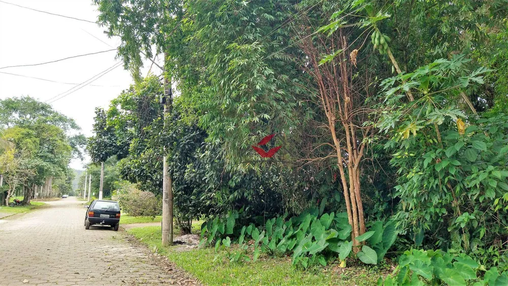 Loteamento e Condomínio, 384 m² - Foto 4