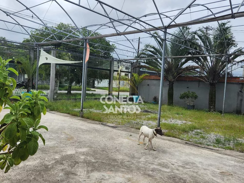 Loja-Salão, 800 m² - Foto 1