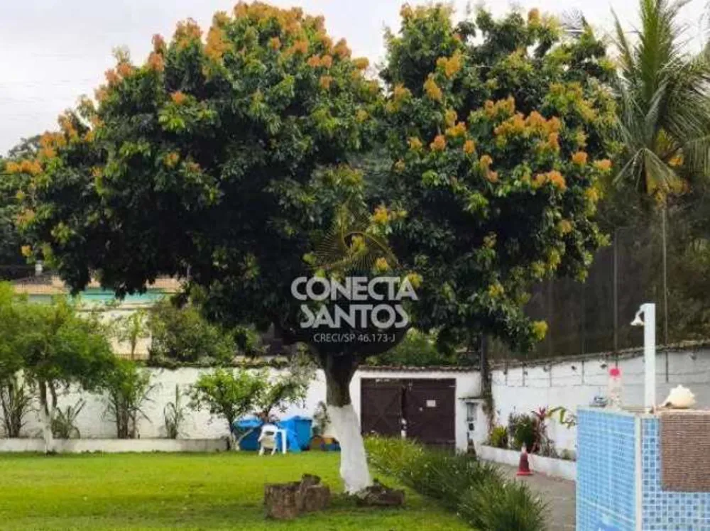 Chácara, 2 quartos, 1710 m² - Foto 7