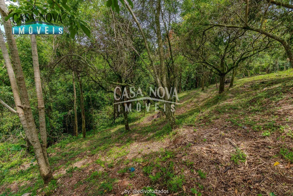 Terreno, 2 hectares - Foto 4