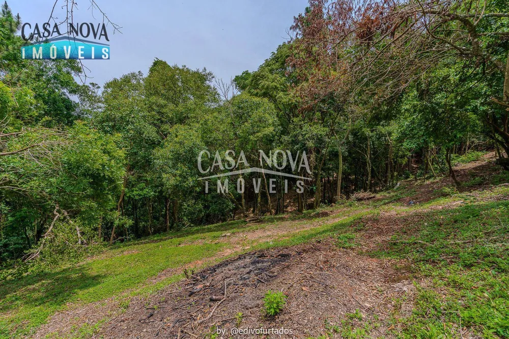 Terreno, 2 hectares - Foto 6