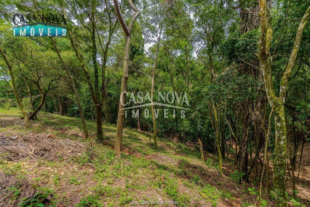 Terreno, 2 hectares - Foto 11