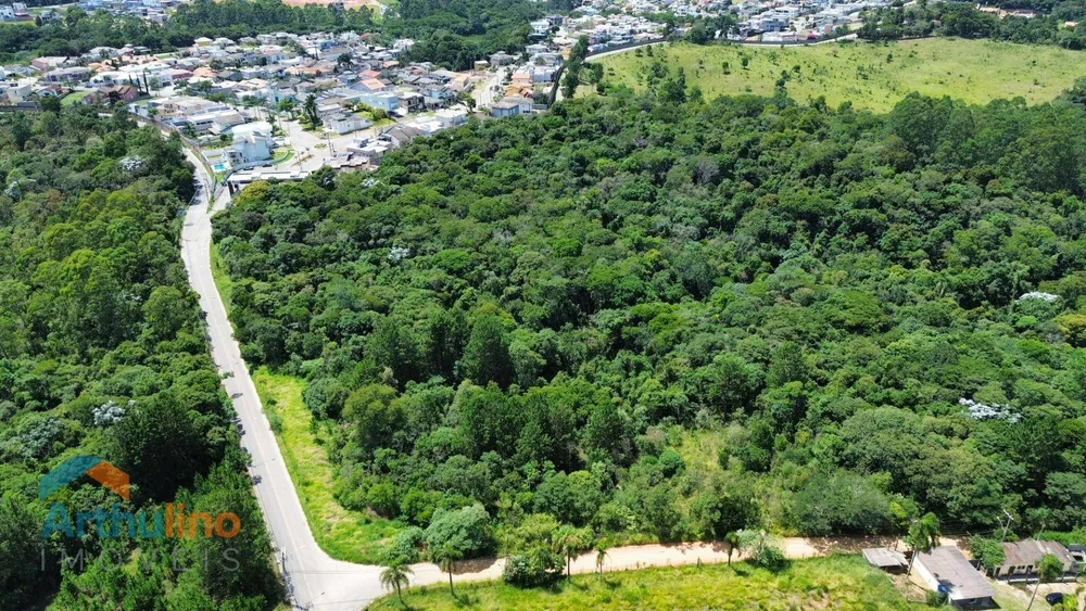 Terreno, 30 hectares - Foto 16