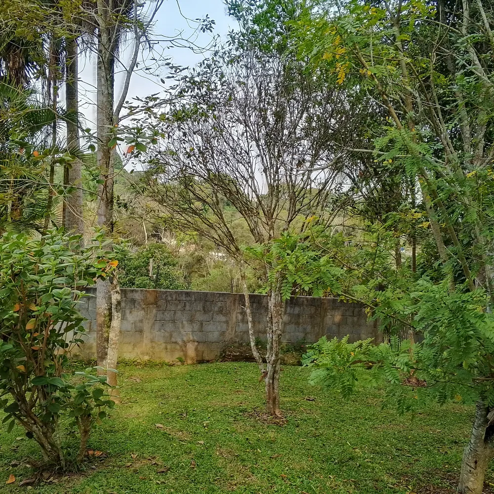 Terreno, 1 hectares - Foto 12