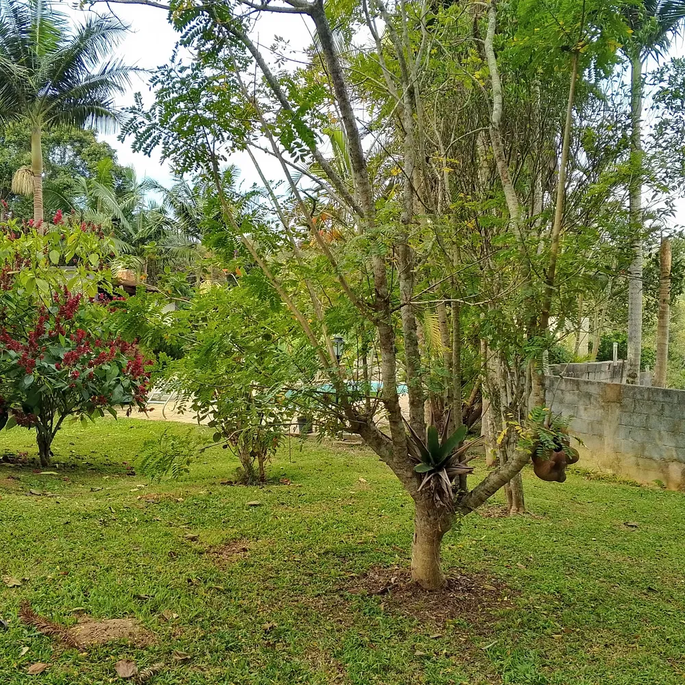 Terreno, 1 hectares - Foto 11