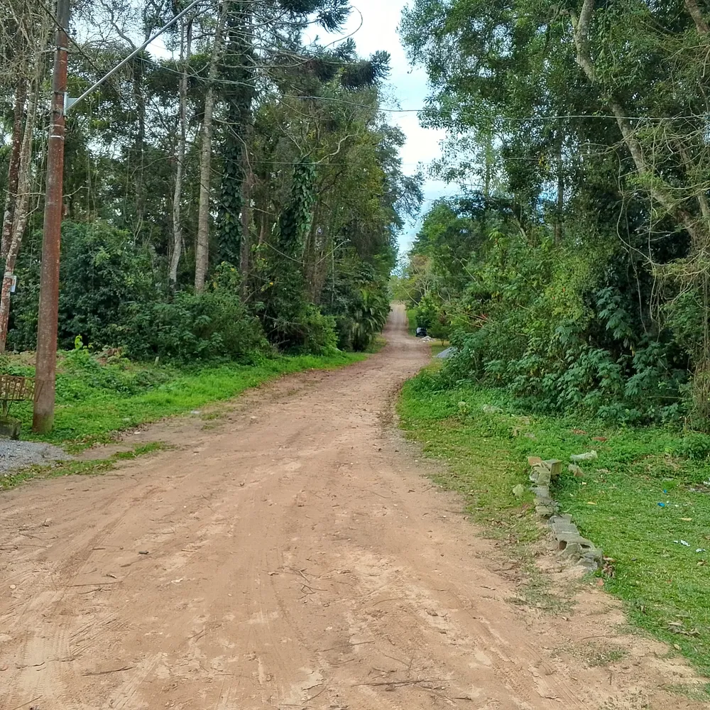 Terreno, 1 hectares - Foto 14