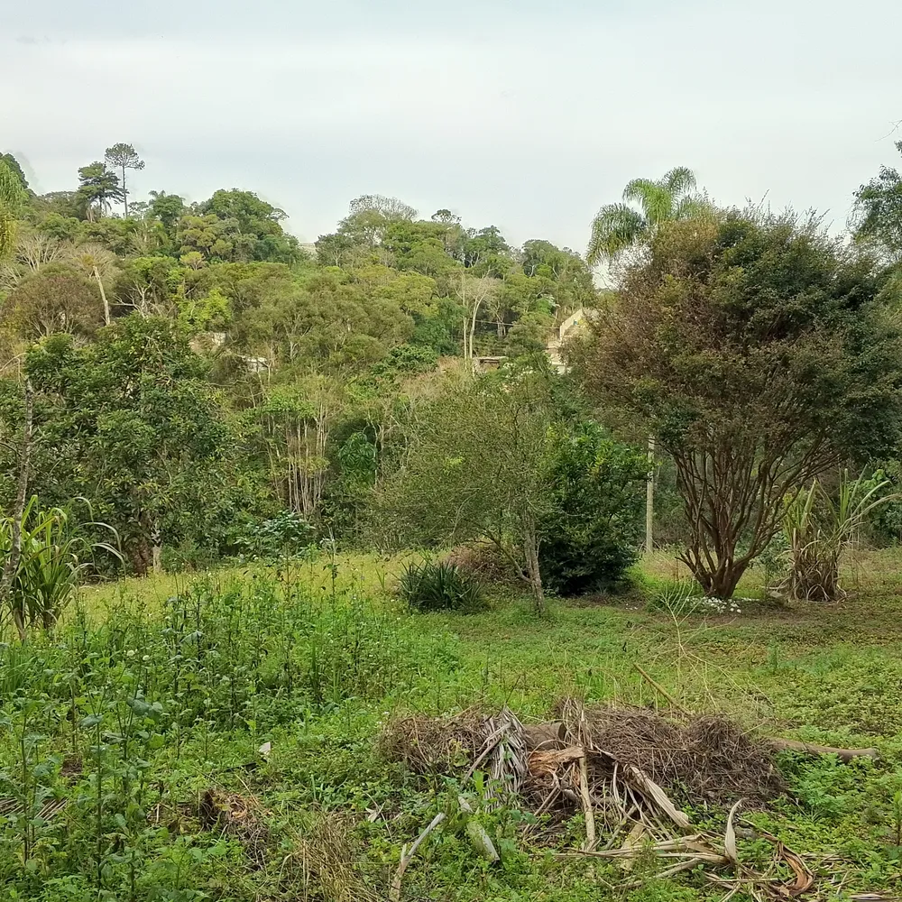 Terreno, 1 hectares - Foto 7