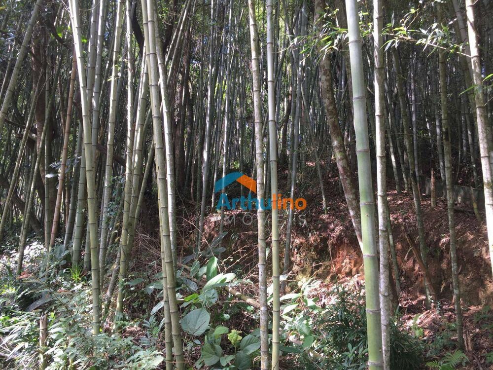 Loteamento e Condomínio, 2765 m² - Foto 4