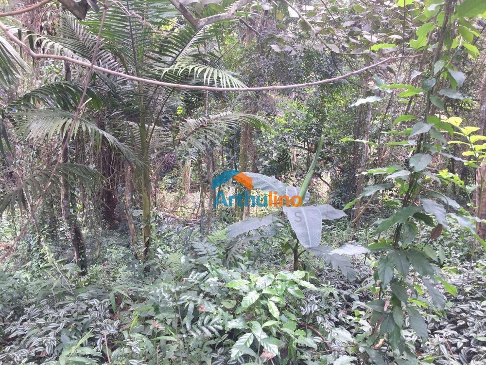 Loteamento e Condomínio, 2765 m² - Foto 2