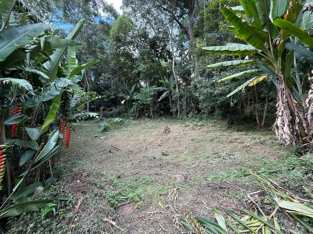 Terreno, 4500 m² - Foto 9