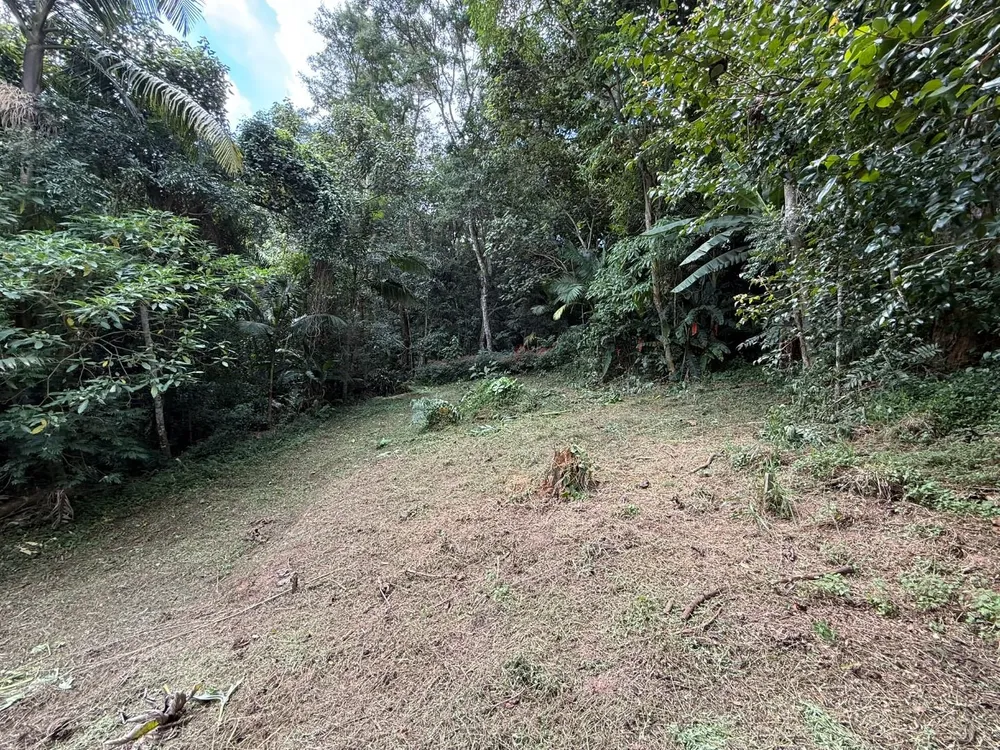 Terreno, 4500 m² - Foto 8