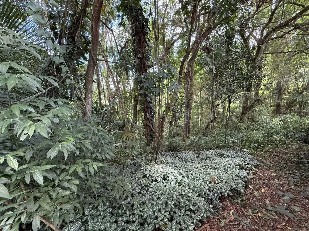 Terreno, 4500 m² - Foto 10