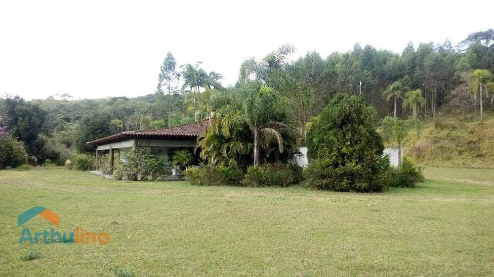 Terreno, 50 hectares - Foto 3