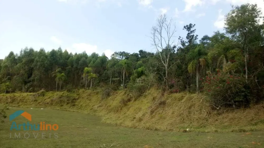 Terreno, 50 hectares - Foto 11