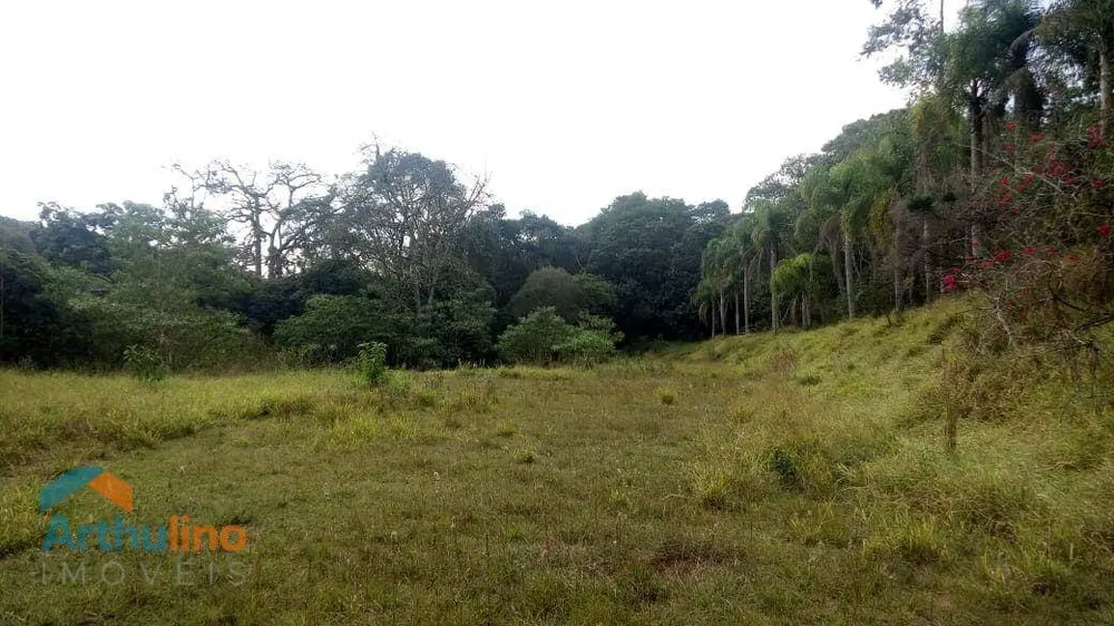 Terreno, 50 hectares - Foto 2