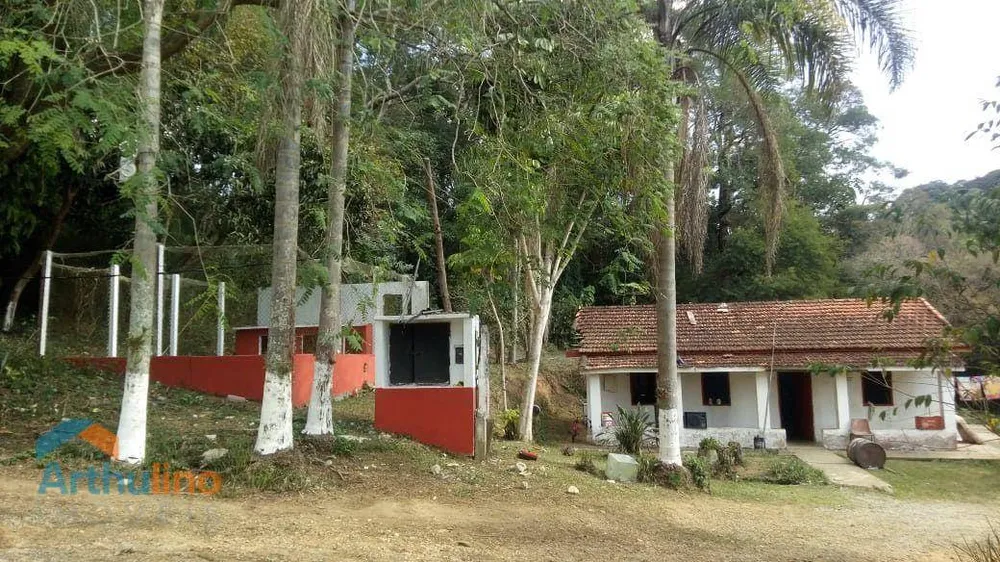 Terreno, 50 hectares - Foto 4