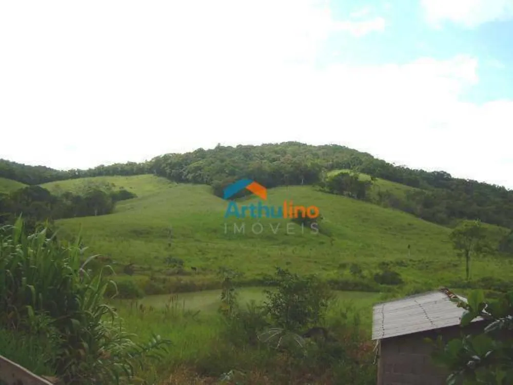 Terreno, 19 hectares - Foto 7