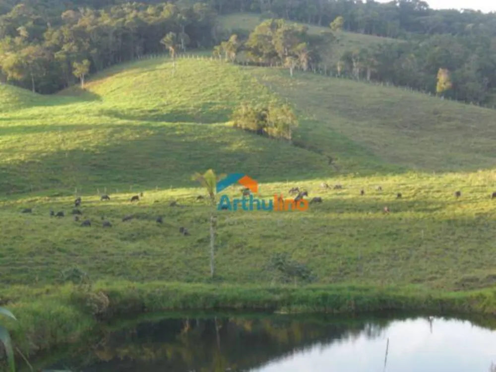 Terreno, 19 hectares - Foto 6