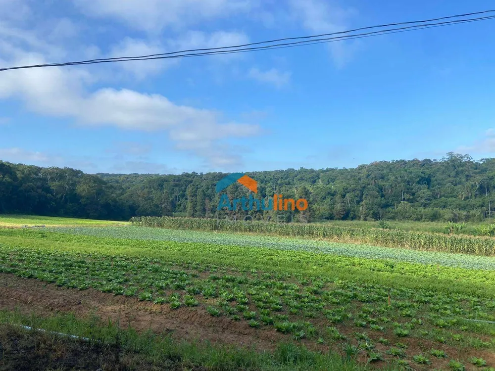 Terreno, 19 hectares - Foto 1