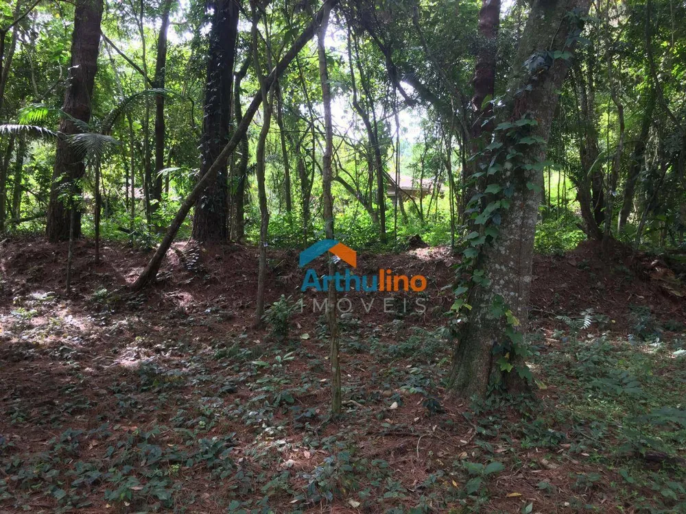 Loteamento e Condomínio, 1571 m² - Foto 6