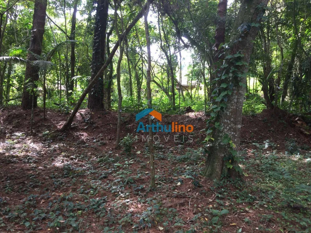 Loteamento e Condomínio, 1571 m² - Foto 5