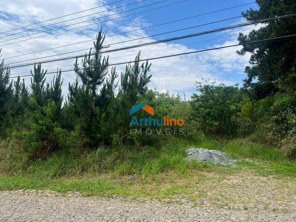 Loteamento e Condomínio, 4973 m² - Foto 4