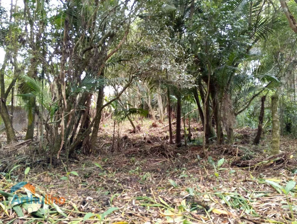 Terreno, 4000 m² - Foto 3