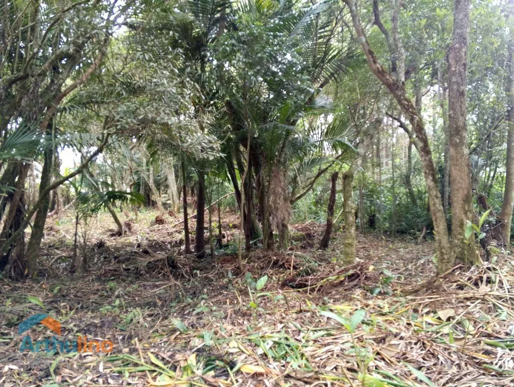 Terreno, 4000 m² - Foto 4