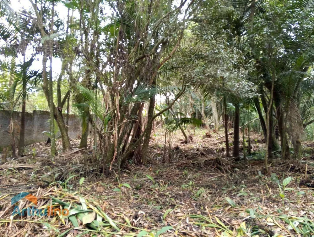 Terreno, 4000 m² - Foto 2