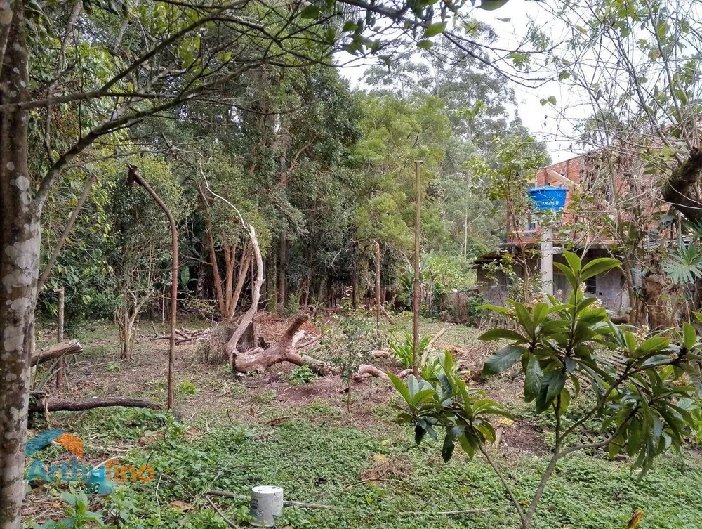 Terreno, 4000 m² - Foto 9