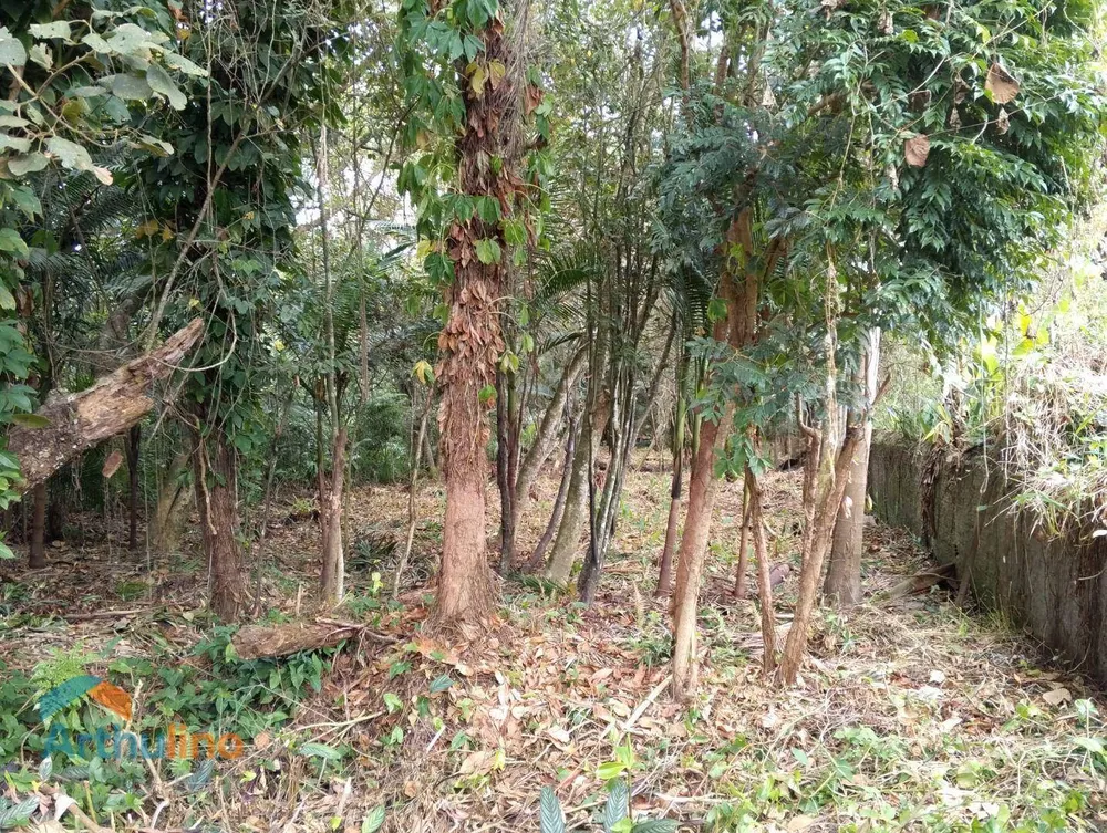 Terreno, 4000 m² - Foto 6