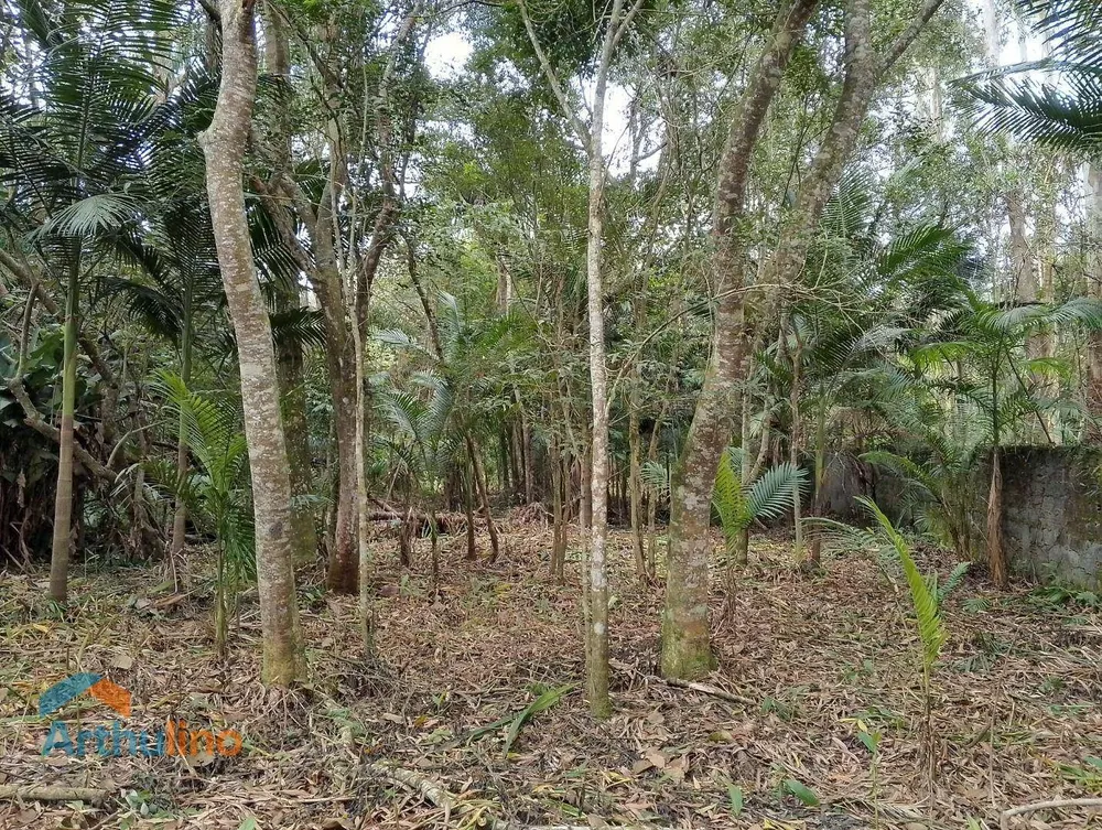 Terreno, 4000 m² - Foto 1