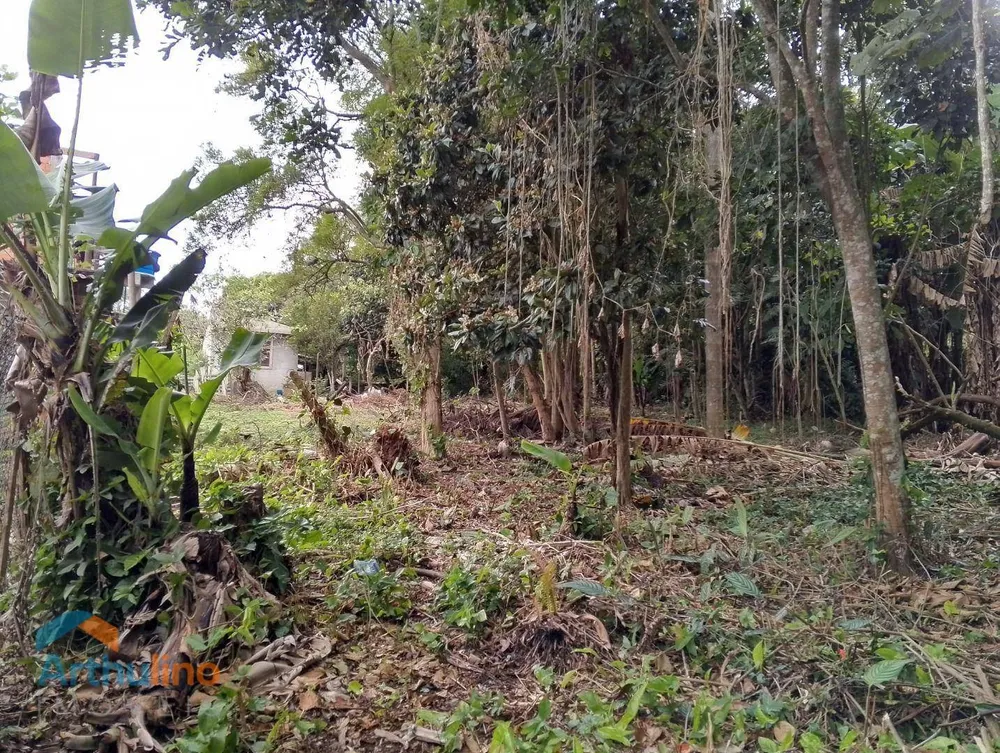 Terreno, 4000 m² - Foto 5