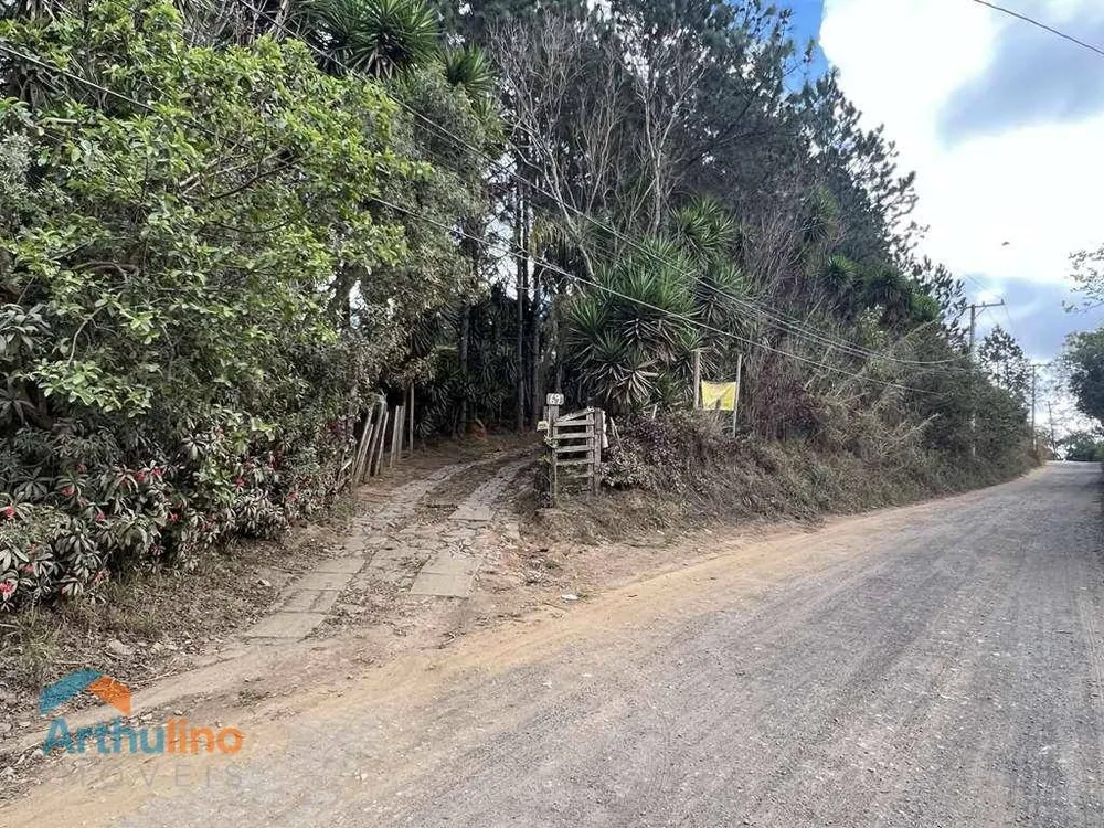 Terreno, 2 hectares - Foto 2