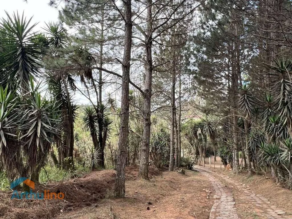 Terreno, 2 hectares - Foto 4