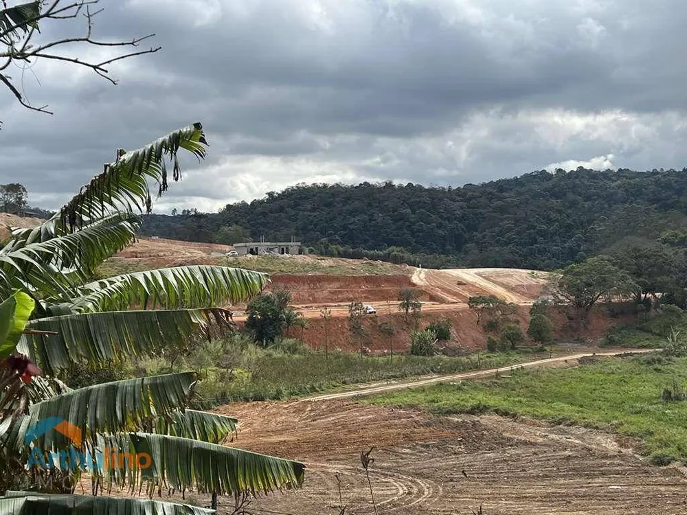 Terreno, 2 hectares - Foto 8