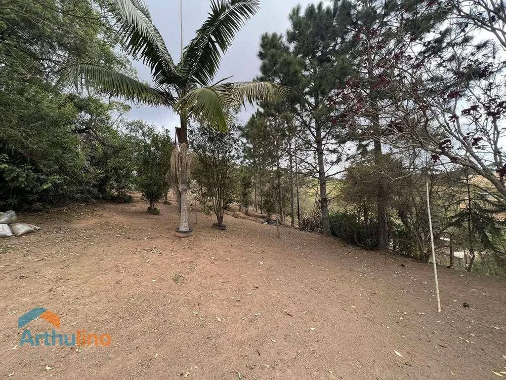 Terreno, 2 hectares - Foto 7