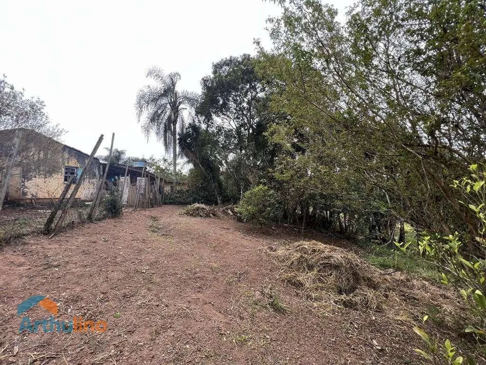 Terreno, 2 hectares - Foto 10