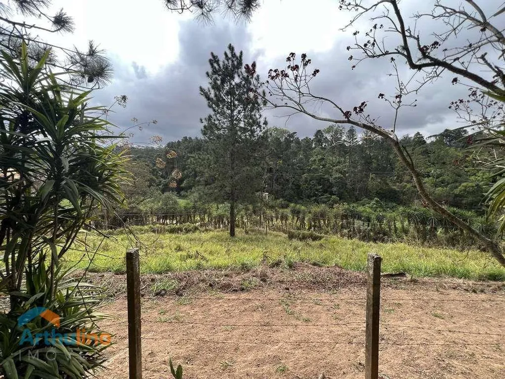 Terreno, 2 hectares - Foto 3