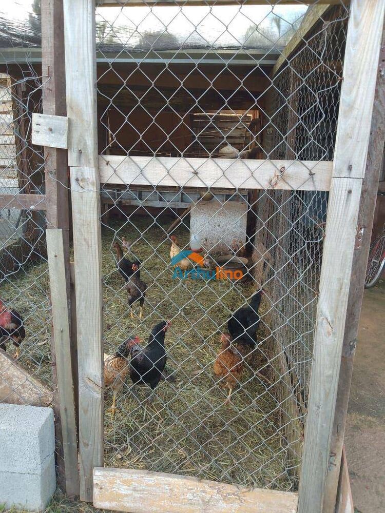 Sítio, 2 quartos, 6937 m² - Foto 3