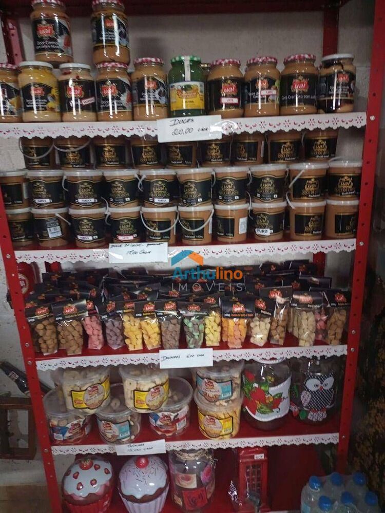 Sítio, 2 quartos, 6937 m² - Foto 4