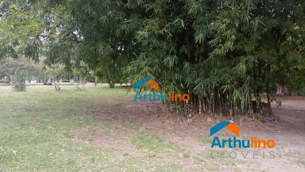 Sítio, 4 quartos, 3 hectares - Foto 12