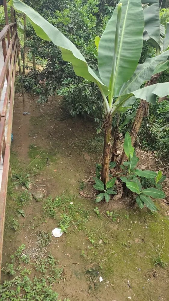 Casa, 3 quartos, 110 m² - Foto 16