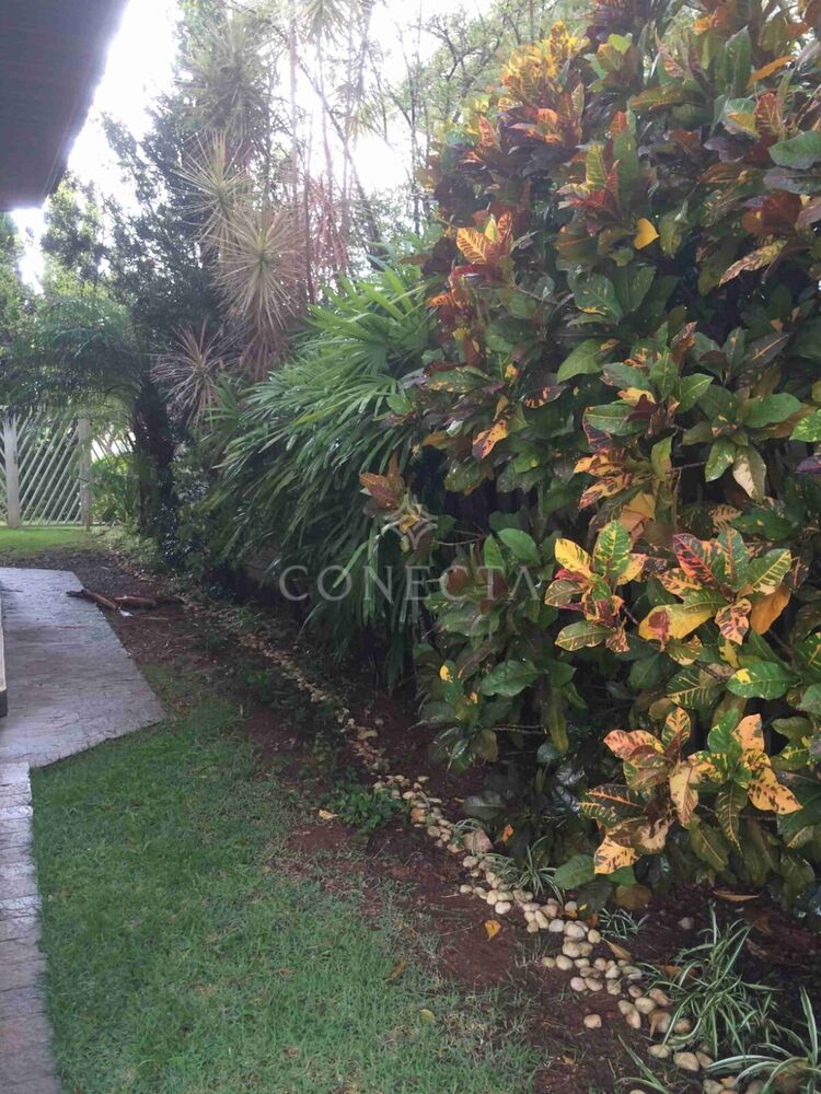 Casa, 4 quartos, 380 m² - Foto 4