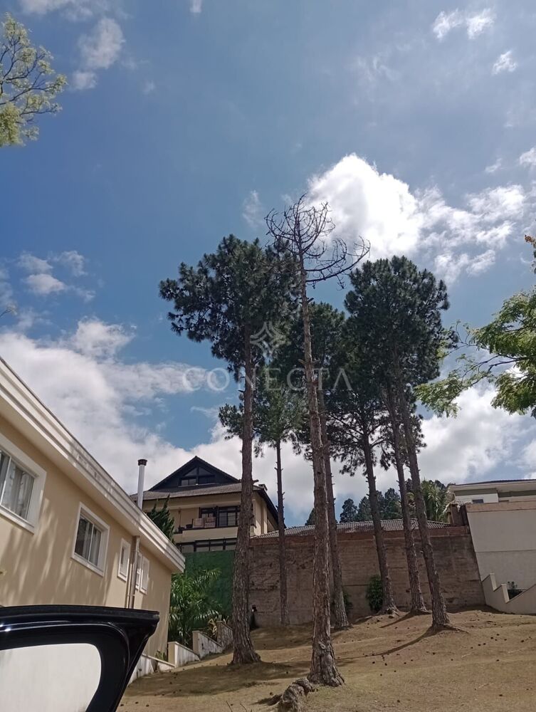 Terreno, 636 m² - Foto 8
